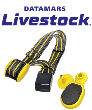 Active-Tag-Ear-Tag-Web-500-x-500-2