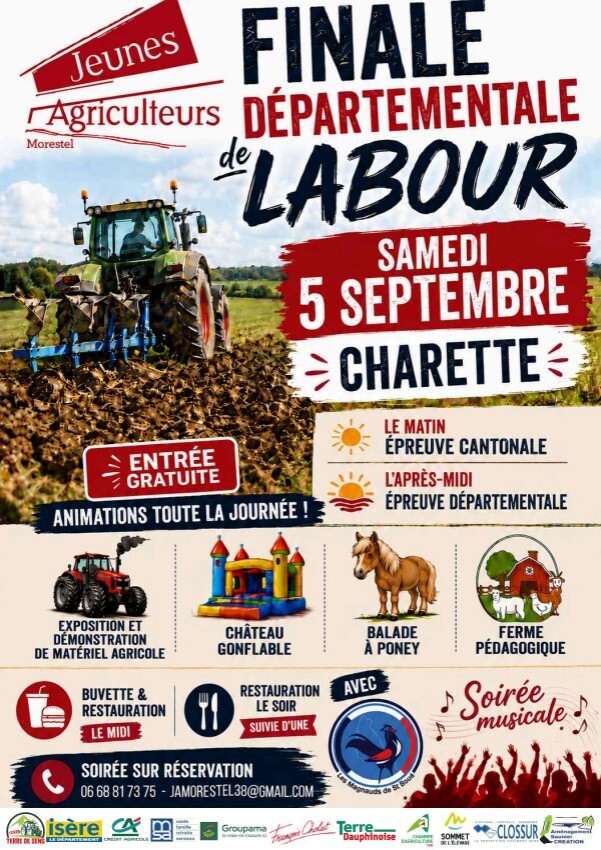 Capture d’écran 2026-08-12 144947