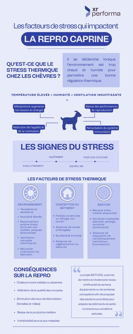 Facteurs stress thermique caprin (2)