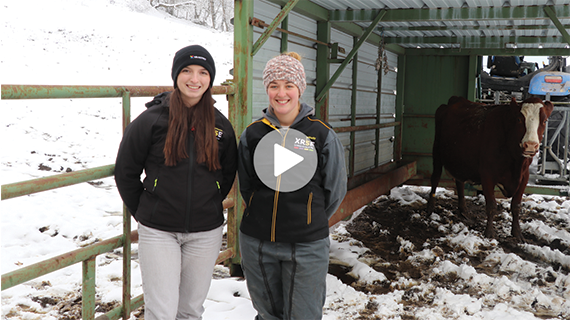 GAEC de la Combelle (43)