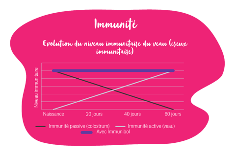 Immunite-veau-active-passive-xr-repro