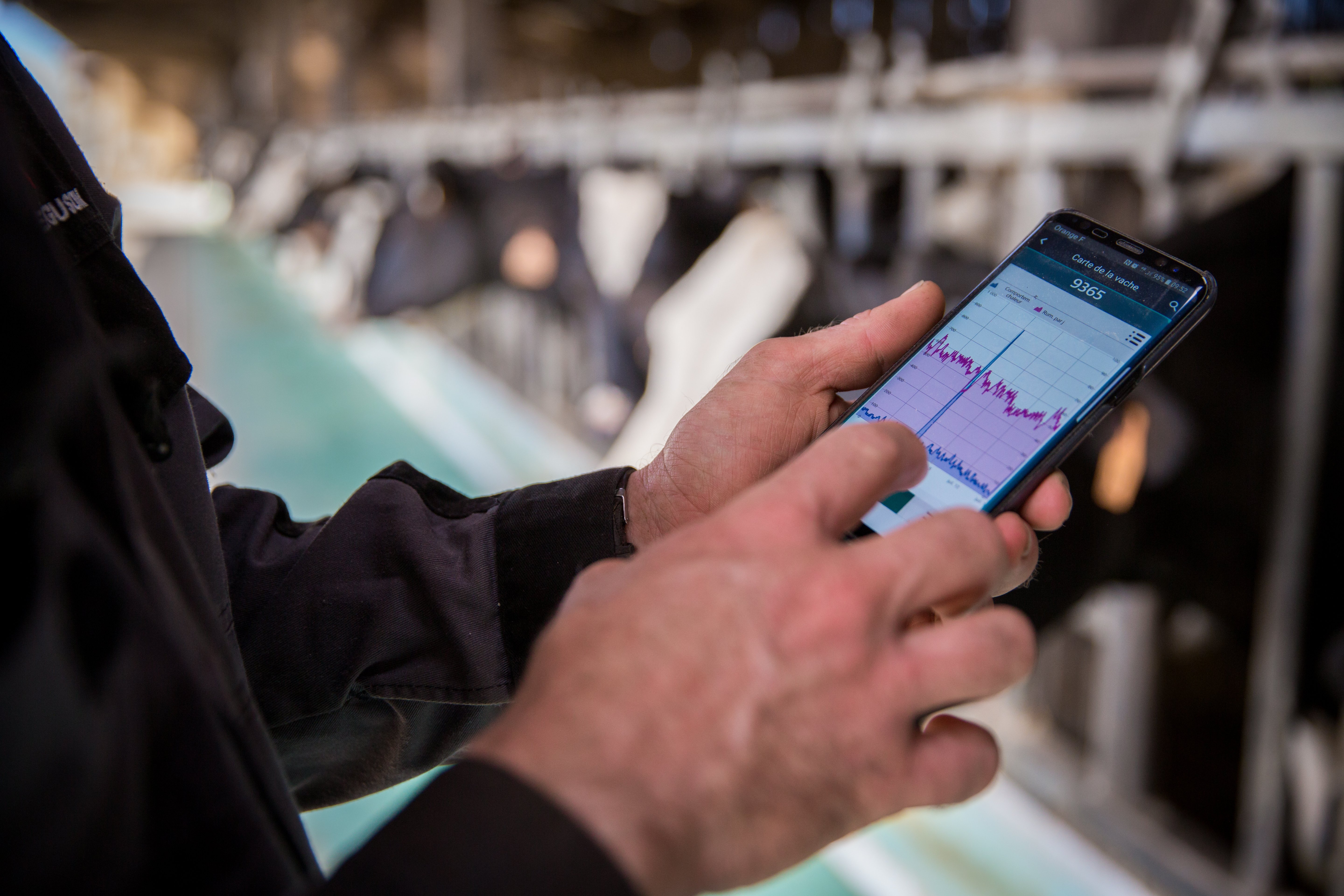 SENSEHUB Eleveur+Smartphone 2 (2)