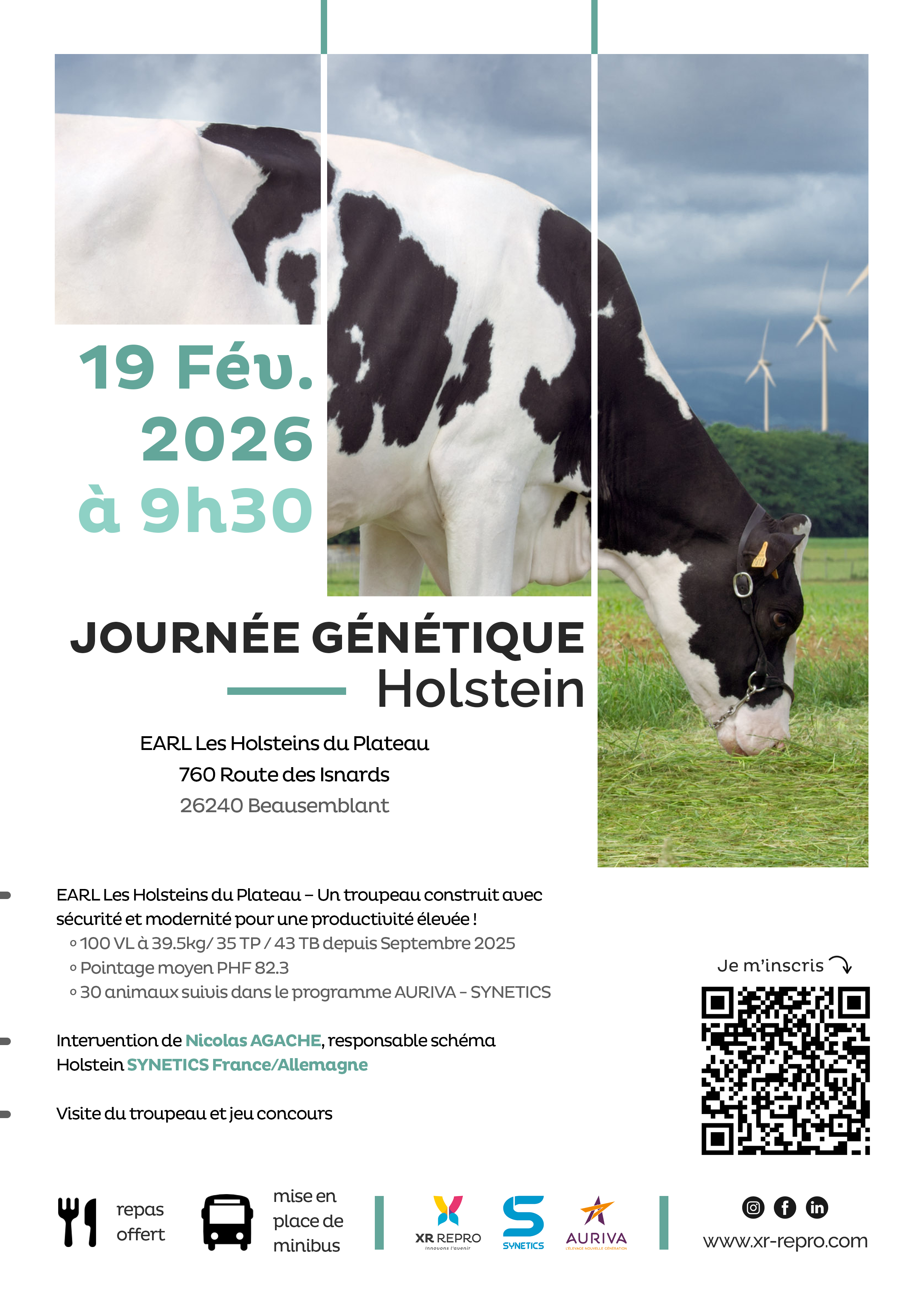 affiche holstein v4