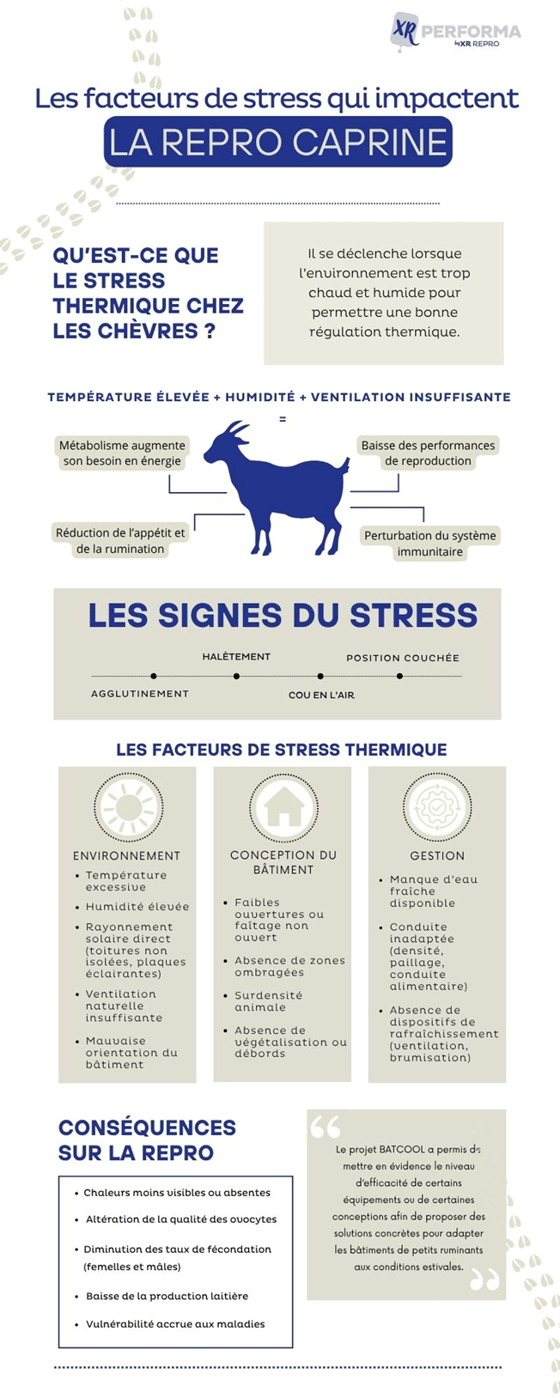 infographie-stress-thermique-caprin