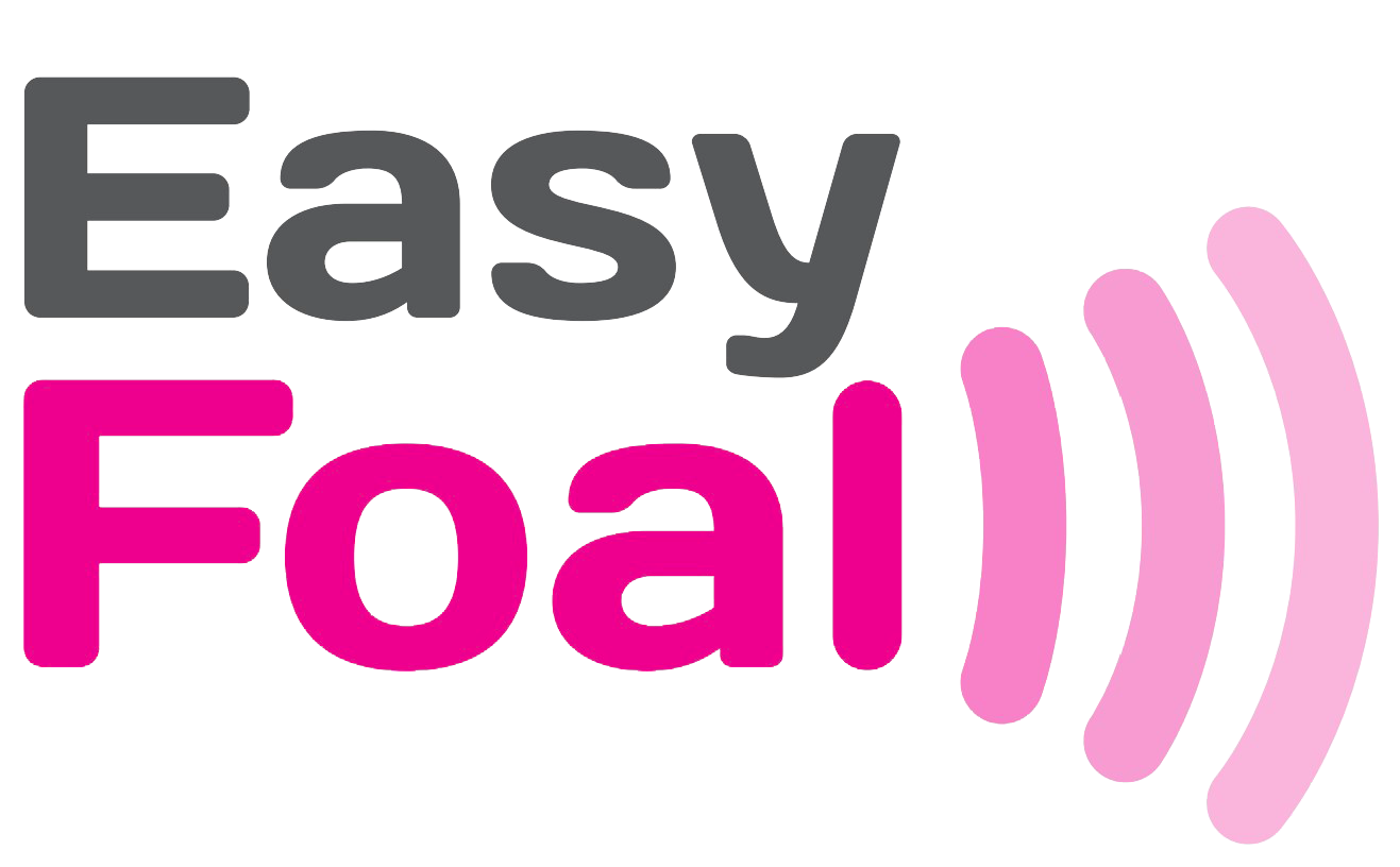logo easy foal detouré