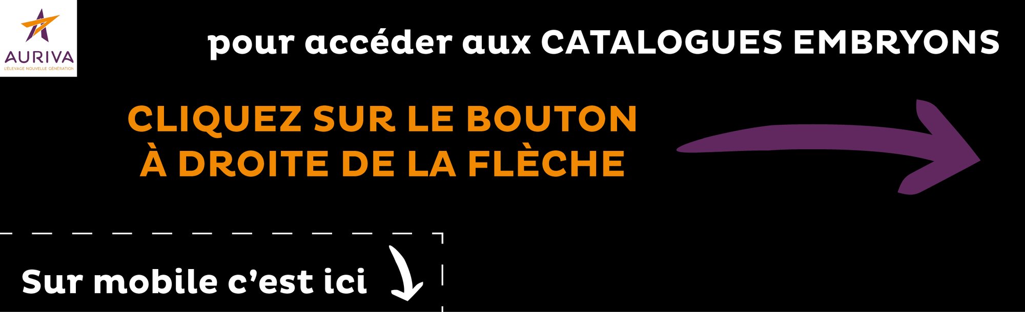 right_arrows_1_Right Arrows 1 copie 2 right_arrows_1_Right Arrows 1 copie 2