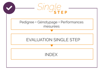 single step 2