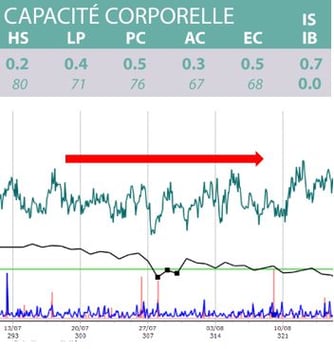 stress thermique vache xr repro reproduction 5