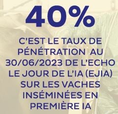 taux penetration echographie IA XR Repro