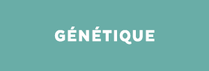 genetique